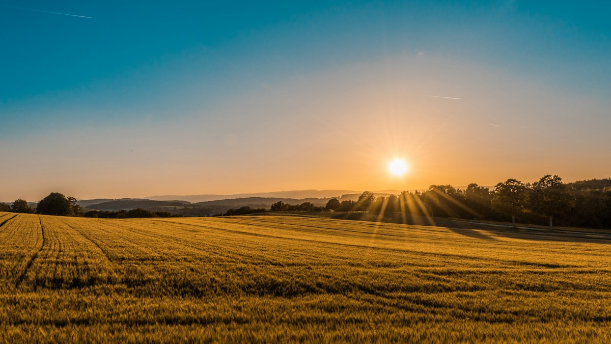 Sunset over Straight Up Farms fields in Mendocino